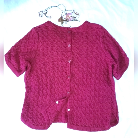 DH Raspberry Crochet Short Sleeve Top, Button-Down Back - Picture 5 of 5